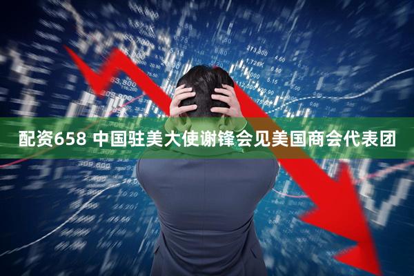 配资658 中国驻美大使谢锋会见美国商会代表团