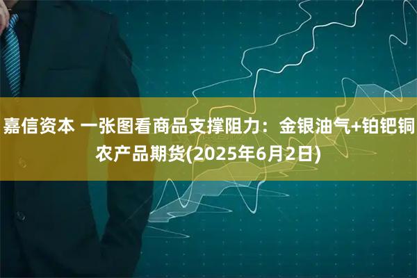 嘉信资本 一张图看商品支撑阻力：金银油气+铂钯铜农产品期货(2025年6月2日)