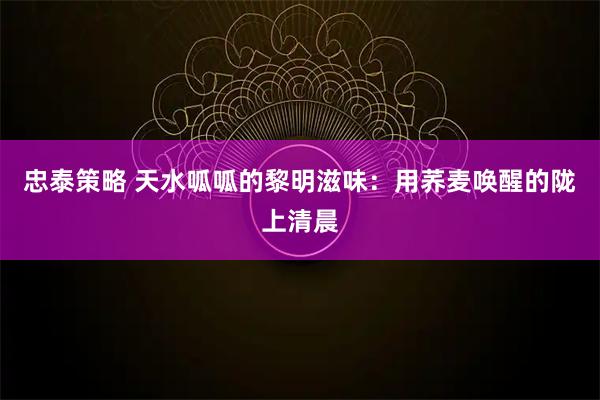 忠泰策略 天水呱呱的黎明滋味：用荞麦唤醒的陇上清晨
