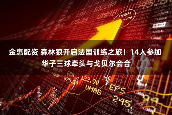 金惠配资 森林狼开启法国训练之旅！14人参加 华子三球牵头与戈贝尔会合